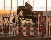 CAletto della Verdina TosTour2013- S5 3162 : Arezzo, Arezzo Equestrian Centre, Caletto della Verdina, Cavalli d'Italia, Toscana Tour 2013, foto di Stefano Secchi ©